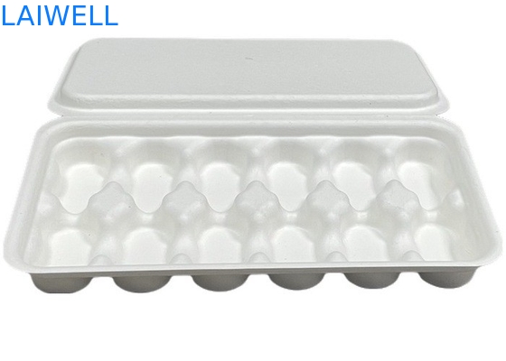 Bianco colore sostenibile Bagasse Coffee Tray Box Non tossico e sicuro per il contatto alimentare Biodegradabile EcoPack Accessori con marchio personalizzato